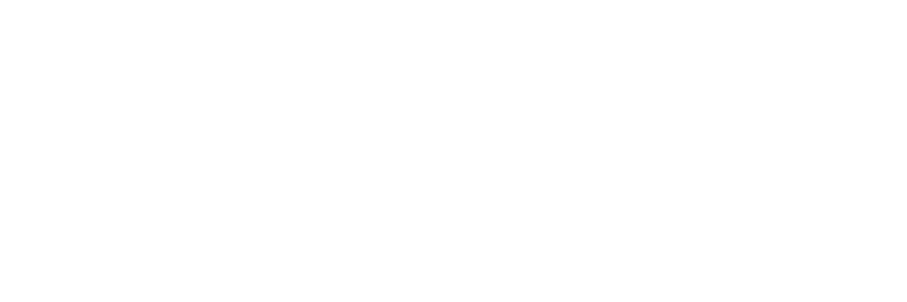 Advance People Solutions